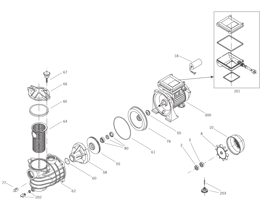 Pump housing gasket PSH Pool pump type Micro