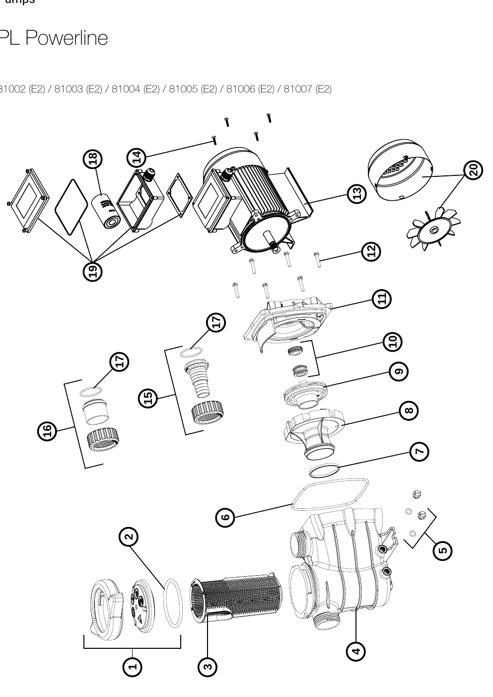 Motor