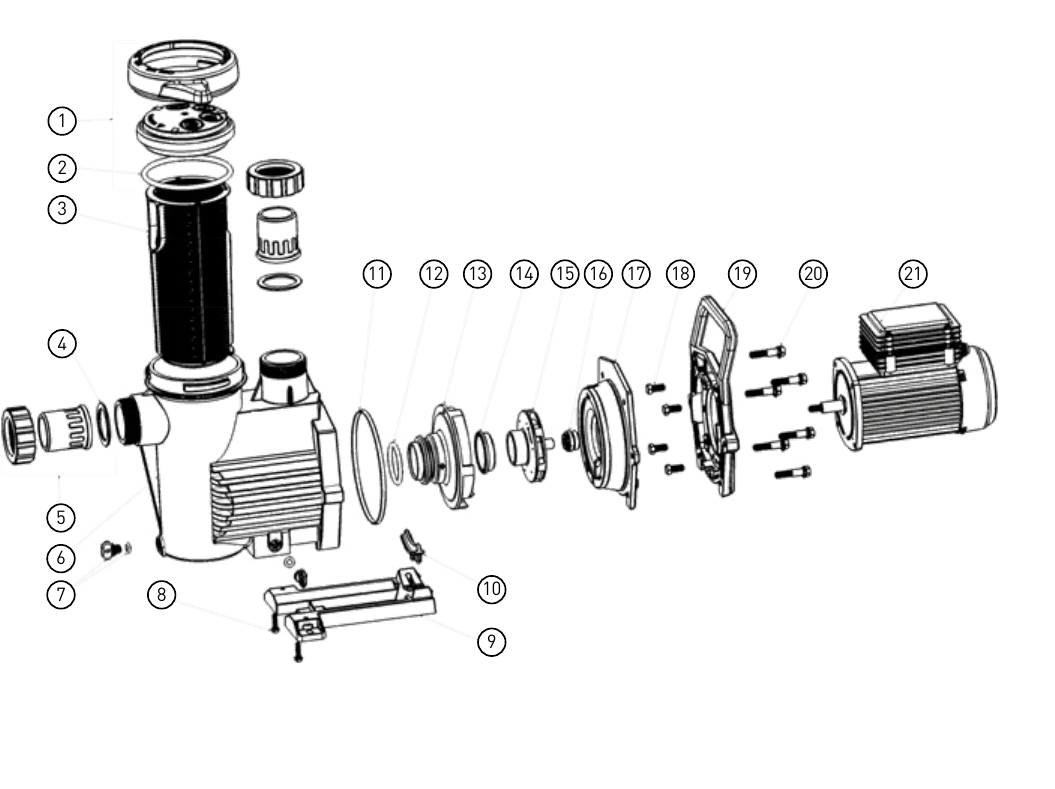 Union gasket